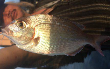 ソウダばっかりなので釣り方をかえてみた